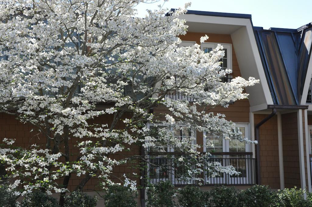 The Residences At Biltmore - Άσβιλ Εξωτερικό φωτογραφία